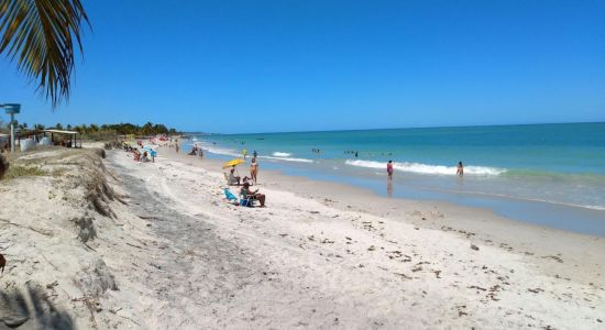 Enseada dos Golfinhos Plajı