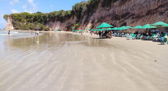 Praia Baia dos Golfinhos Pipa