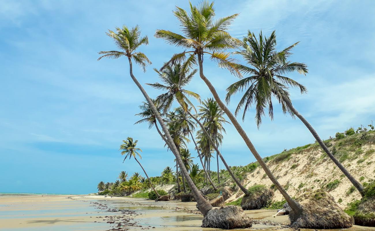 Praia do Jiqui em Caetanos'in fotoğrafı açık bej kum yüzey ile