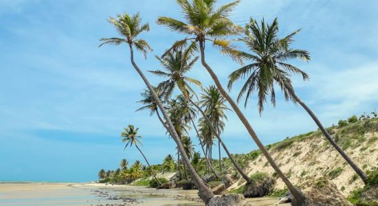 Praia do Jiqui em Caetanos