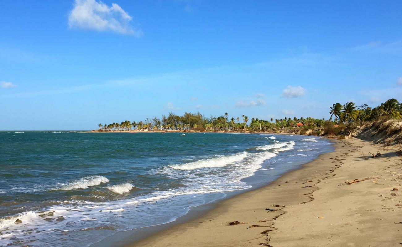 Praia de Barrinha'in fotoğrafı parlak kum yüzey ile