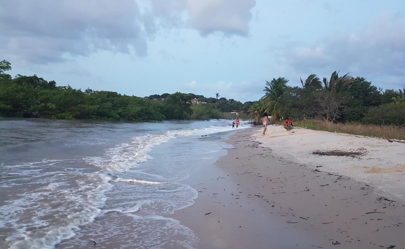 Praia da Guia'in fotoğrafı parlak kum yüzey ile