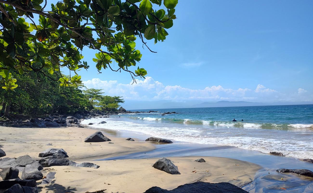 Praia do Pacuiba'in fotoğrafı açık bej kum yüzey ile