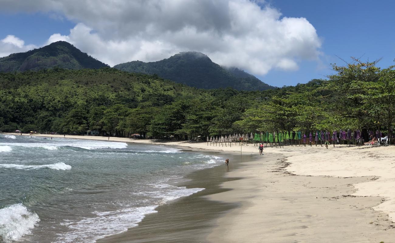 Praia de Castelhanos'in fotoğrafı parlak kum yüzey ile