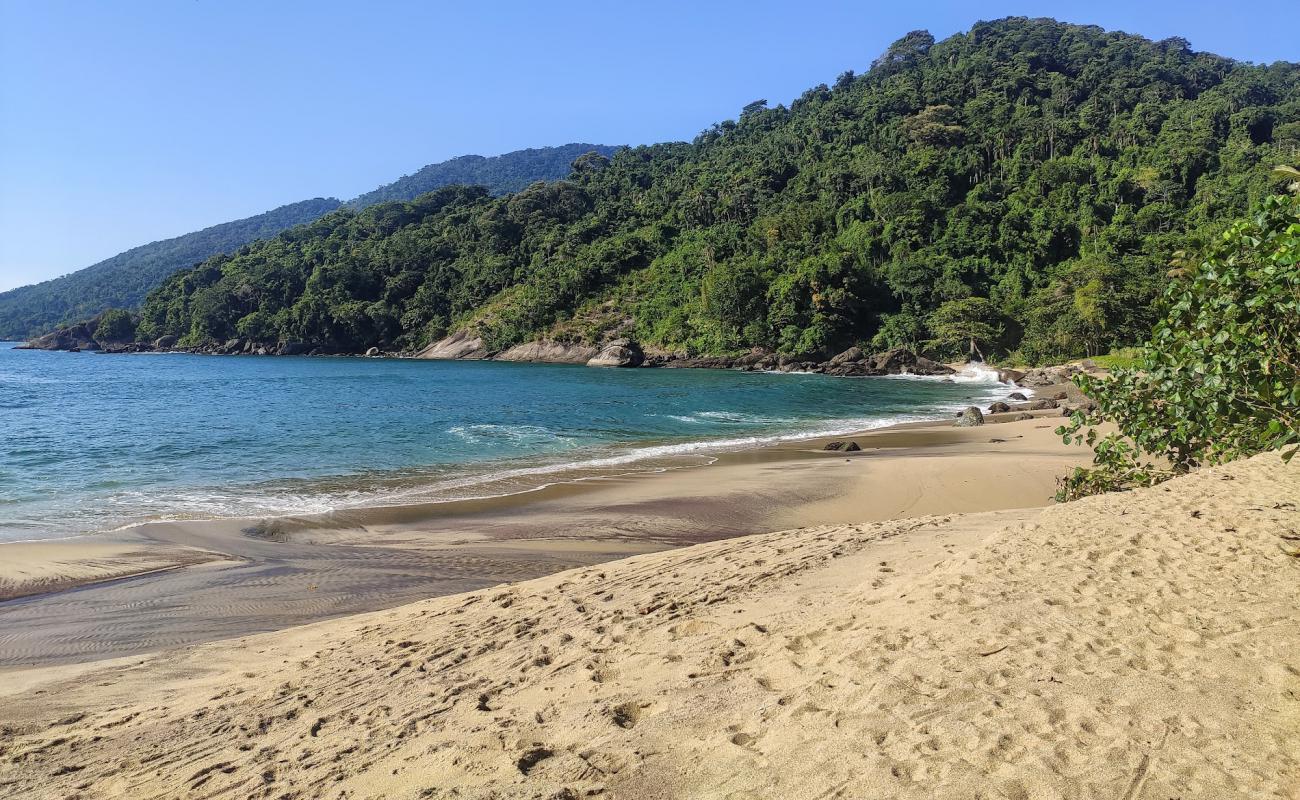 Praia da Figueira'in fotoğrafı açık bej kum yüzey ile