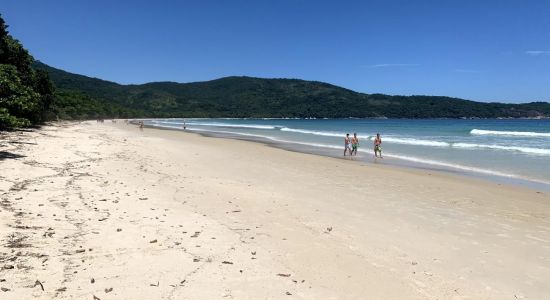 Lopes Mendes Plajı