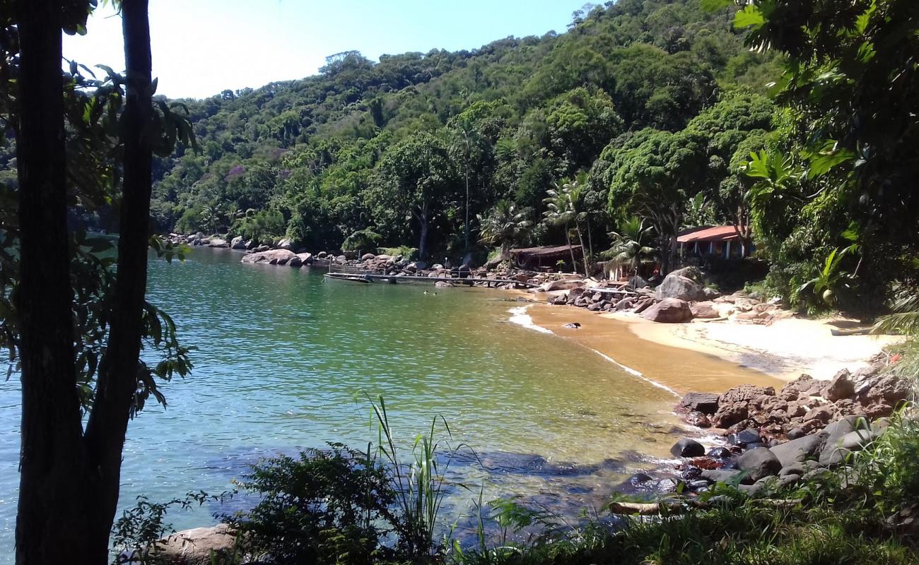 Waterfall Beach'in fotoğrafı parlak kum yüzey ile