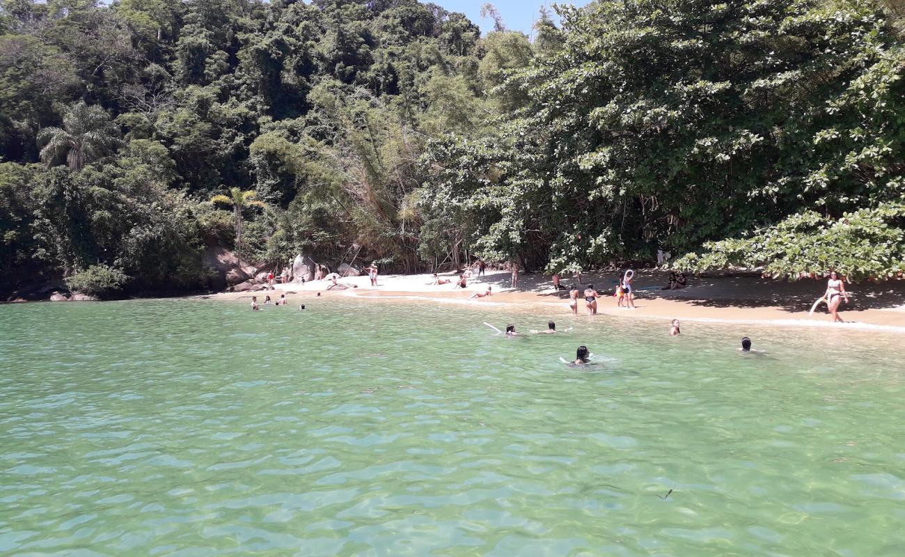 Whale Beach'in fotoğrafı açık bej kum yüzey ile