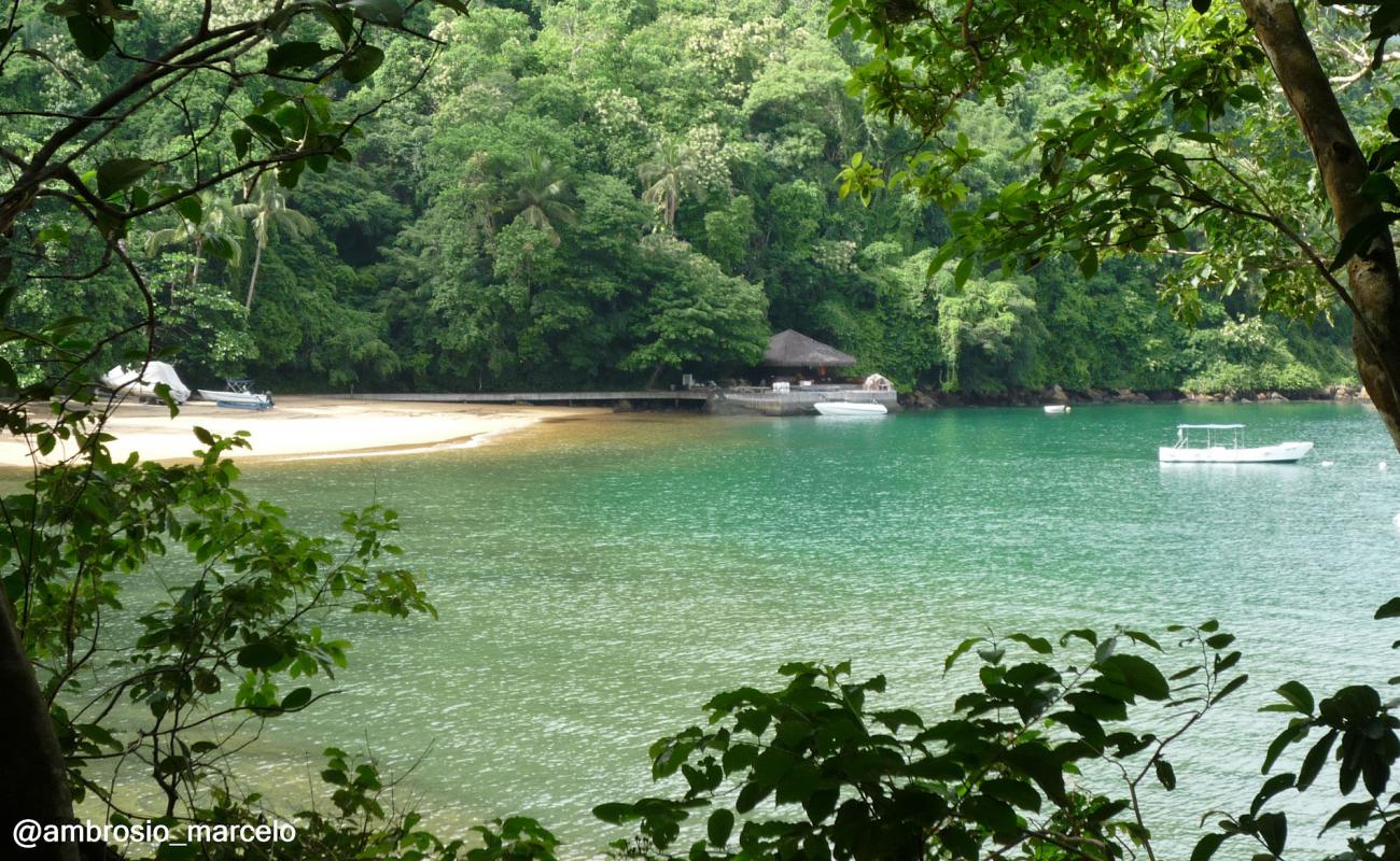 Praia de Morcegos'in fotoğrafı açık bej kum yüzey ile