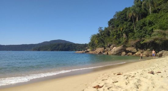 Praia Brava