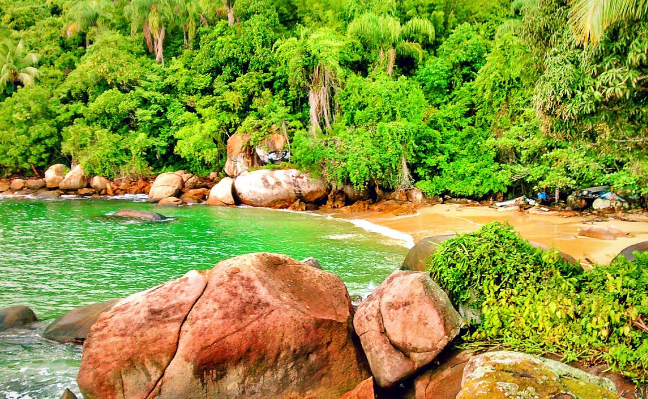 Praia de Castelhanos'in fotoğrafı açık bej kum yüzey ile