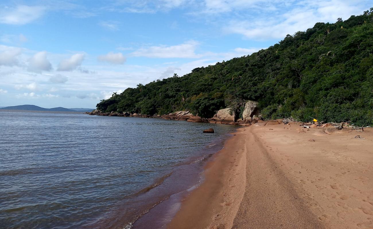 Praia da Onca'in fotoğrafı açık bej kum yüzey ile