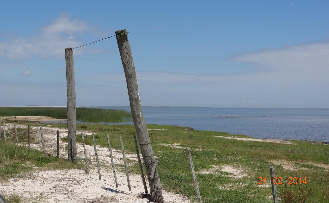 Sao Simao Beach'in fotoğrafı parlak kum yüzey ile