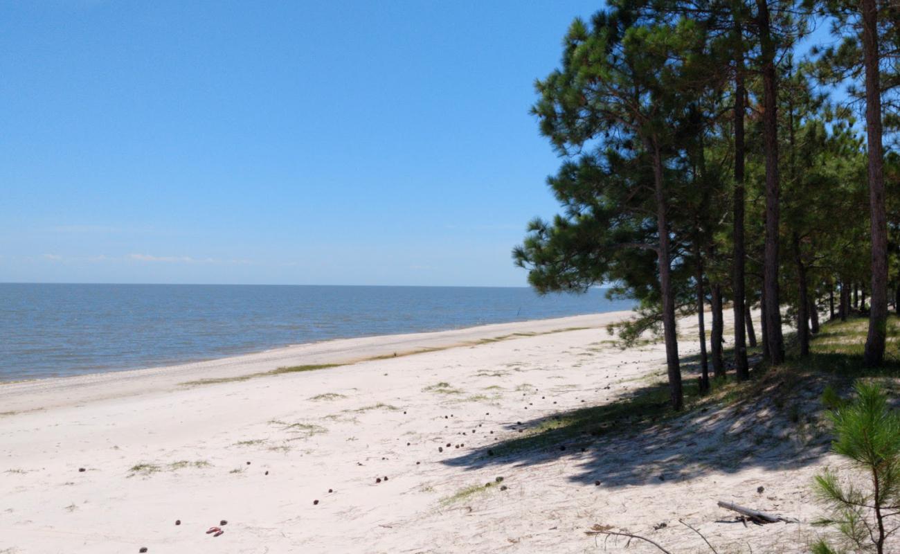 Balneario Lagoa Dos Patos Beach'in fotoğrafı parlak kum yüzey ile