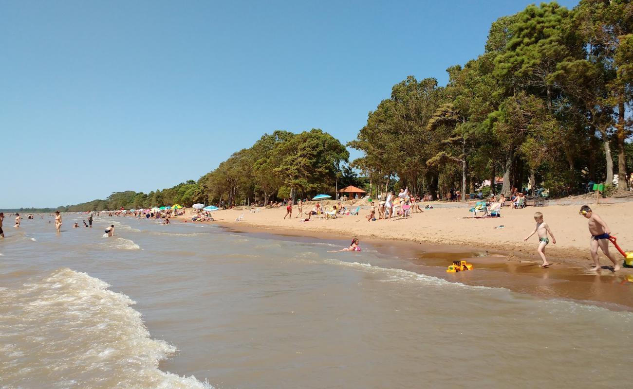 Arambare Beach'in fotoğrafı açık bej kum yüzey ile