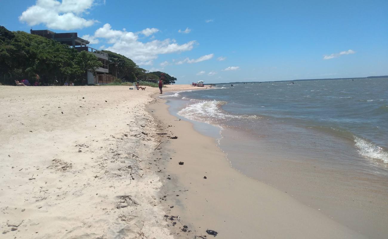 Prainha do "U" - Balneario Rebelo Beach'in fotoğrafı açık bej kum yüzey ile
