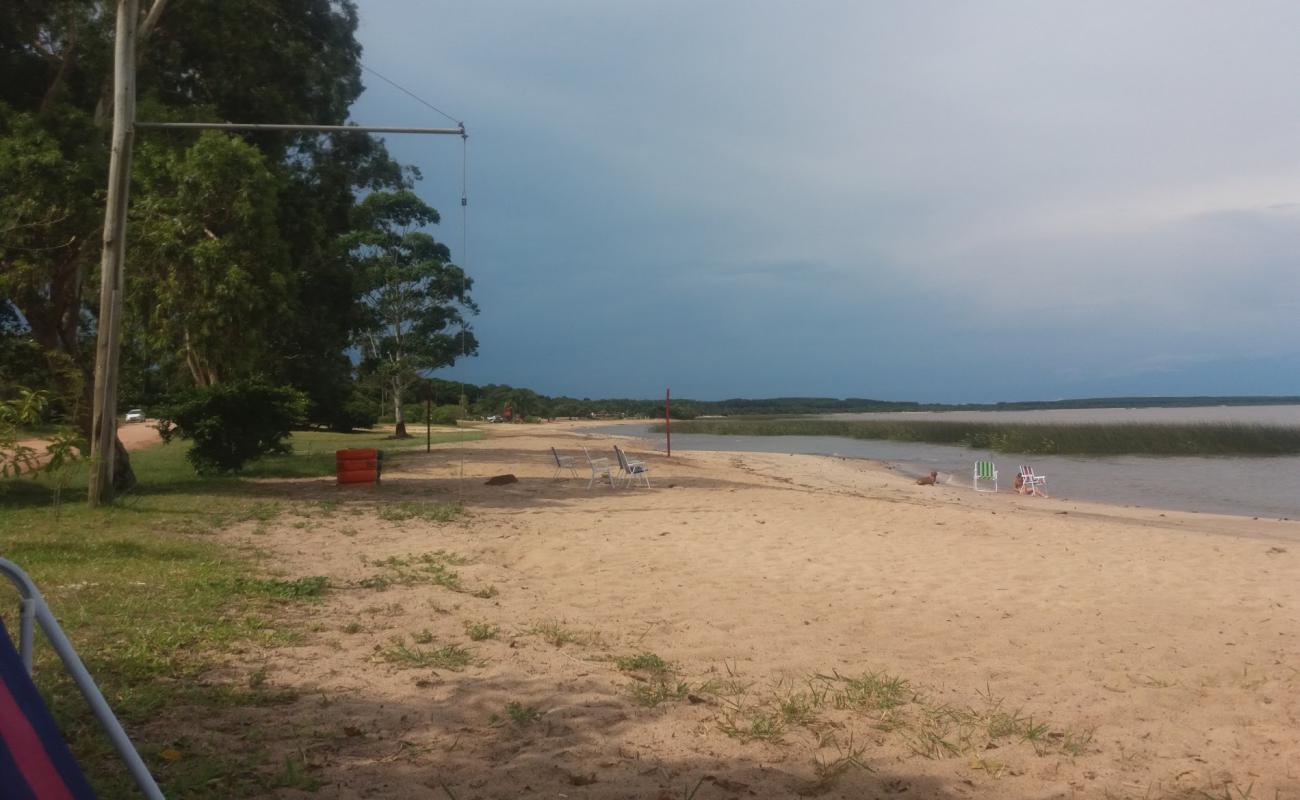 Praia Da Garca.'in fotoğrafı açık bej kum yüzey ile