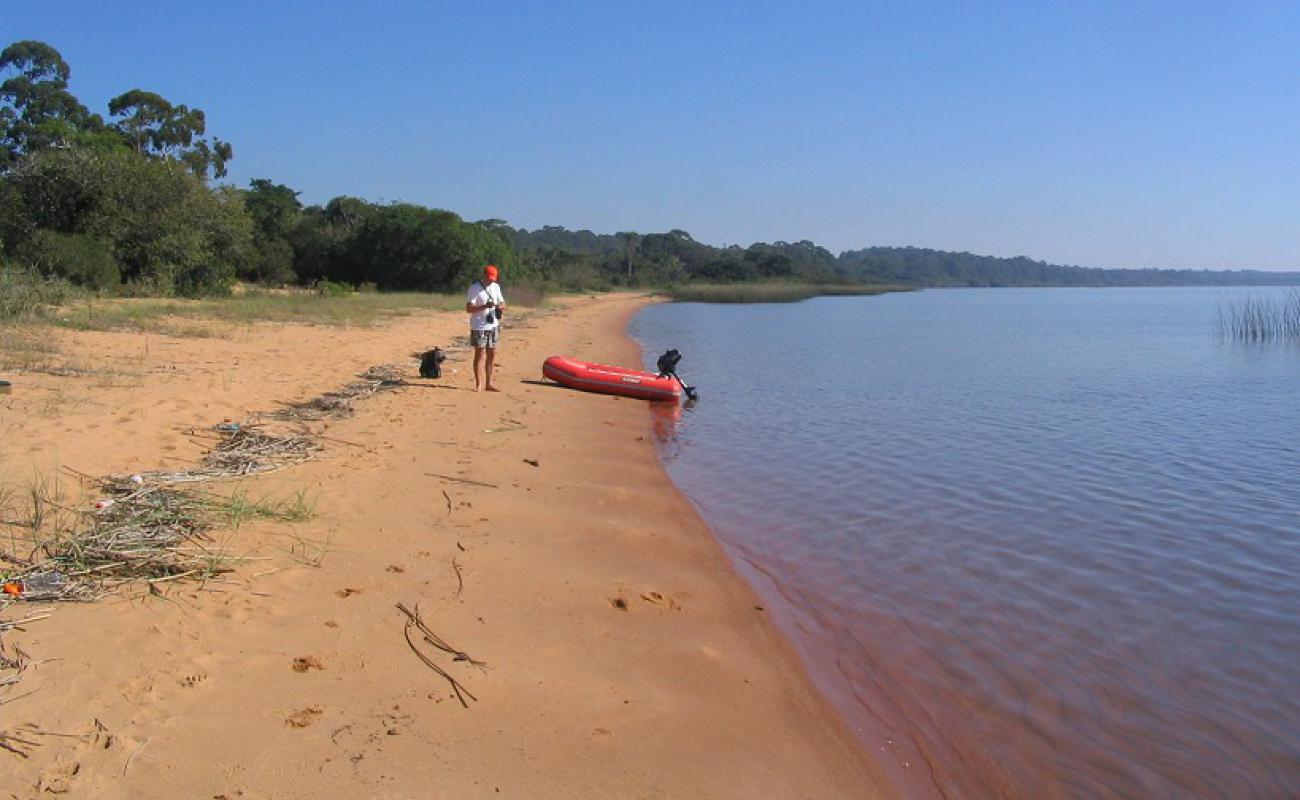 Praia da Faxina'in fotoğrafı parlak kum yüzey ile