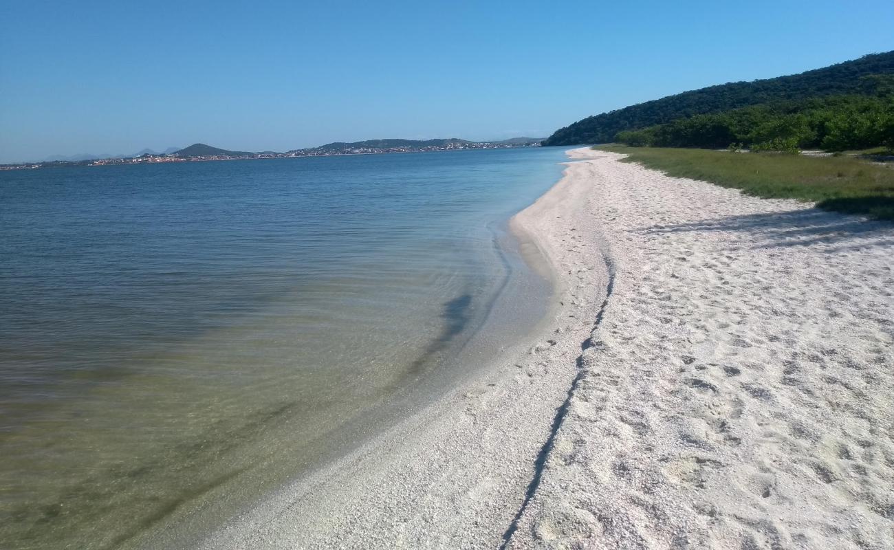 Ponta da Farinha'in fotoğrafı parlak kabuk kumu yüzey ile