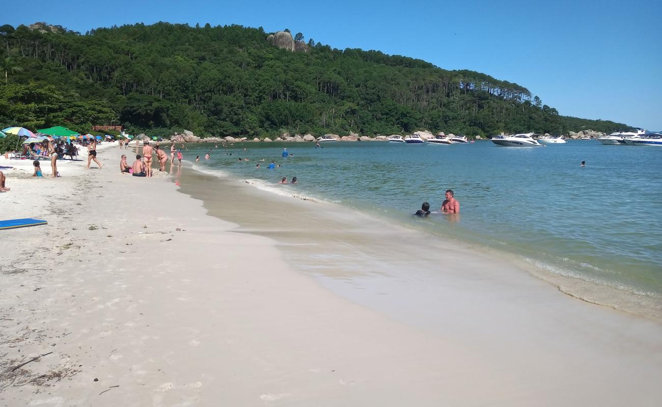 Praia do Tingua'in fotoğrafı parlak ince kum yüzey ile