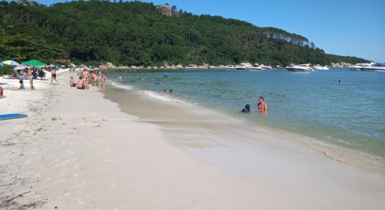 Praia do Tingua