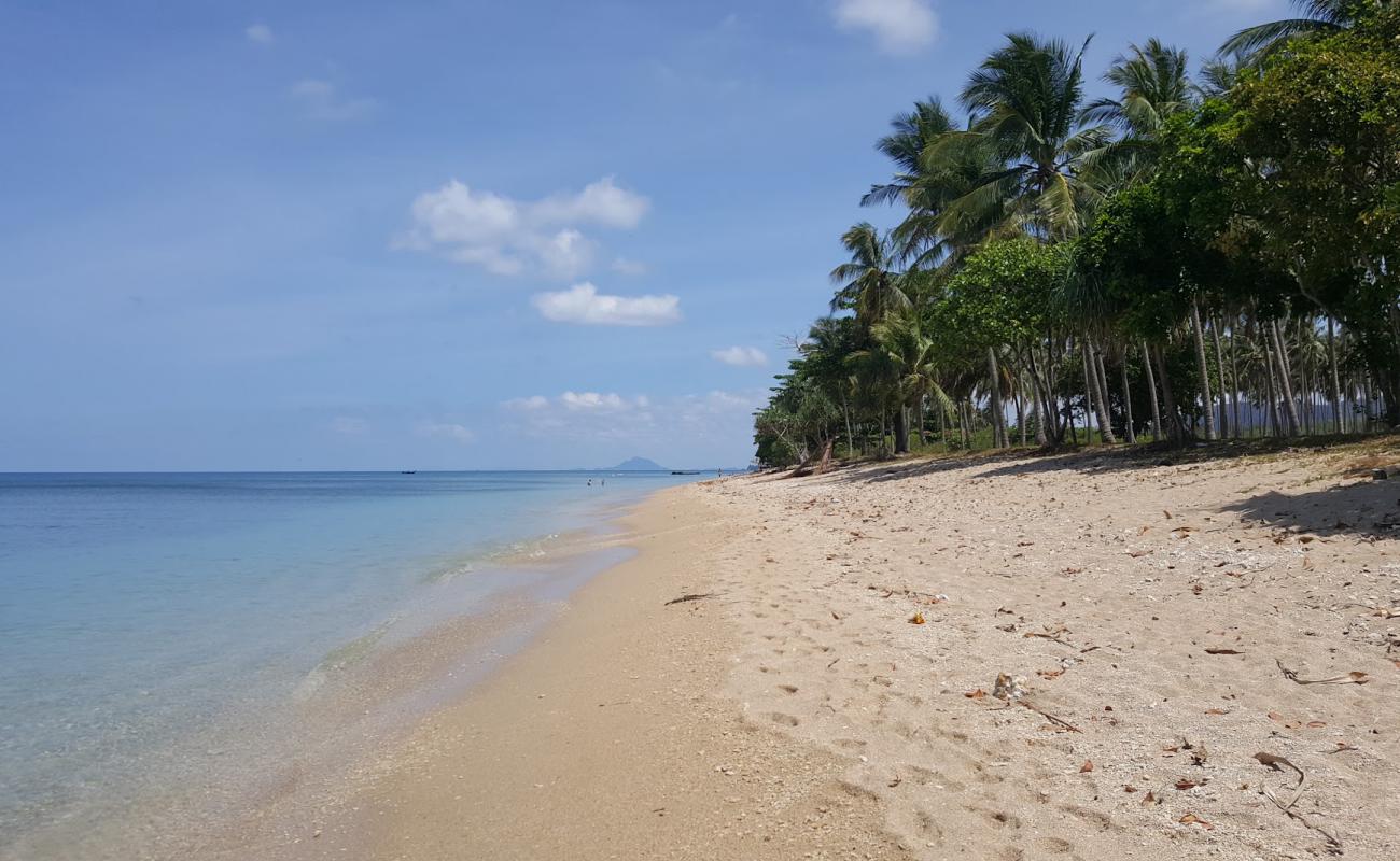 Coconut Palm Beach'in fotoğrafı parlak kum yüzey ile