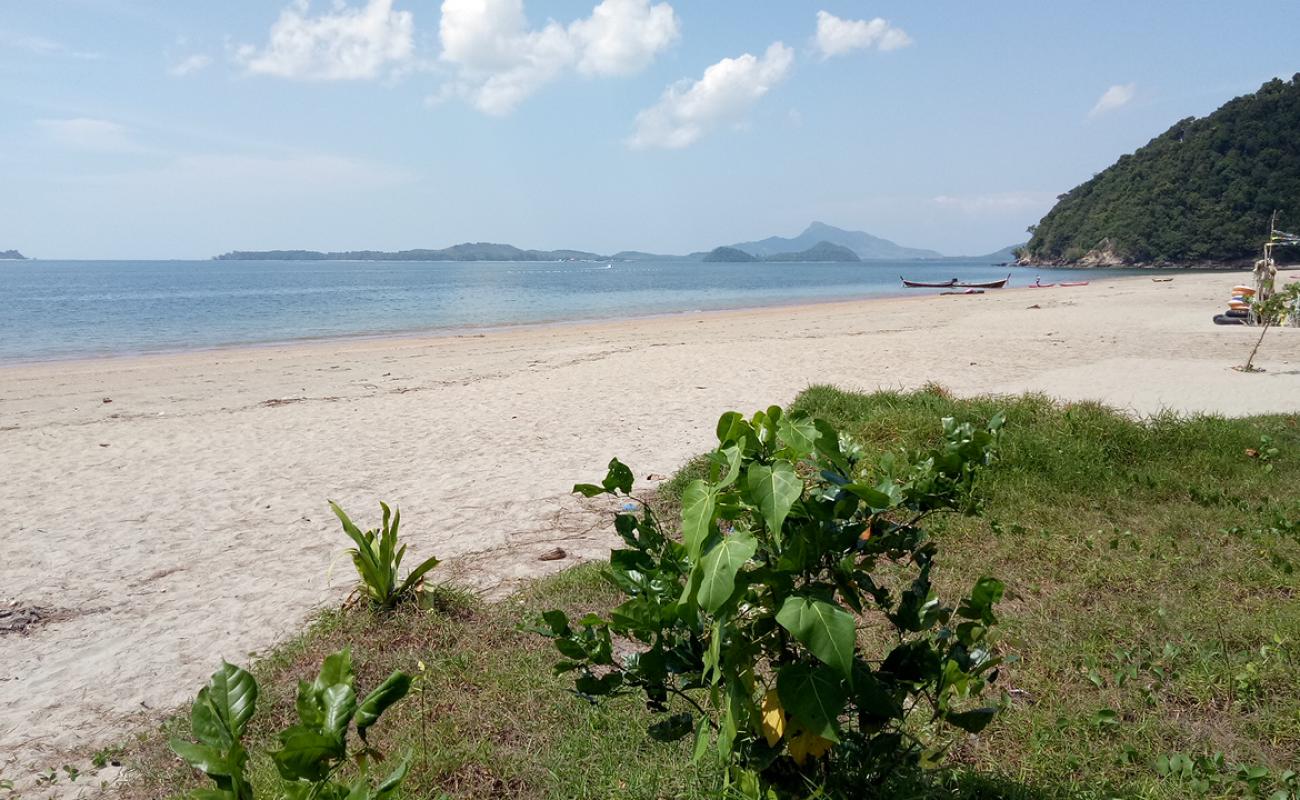 Beach camel Koh Lanta'in fotoğrafı açık bej kum yüzey ile