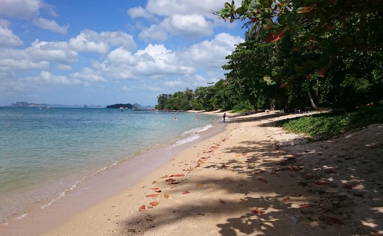 Klong muang Bay'in fotoğrafı açık bej kum yüzey ile