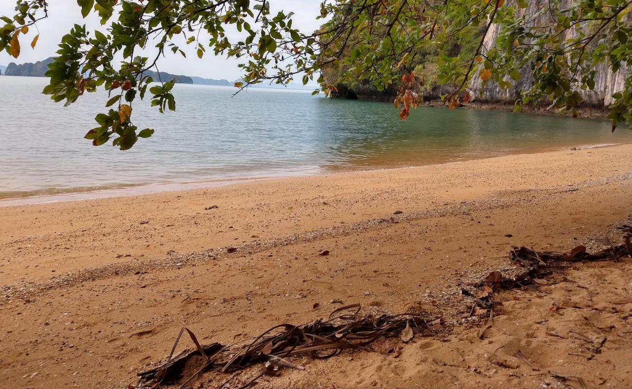 Tamarind bay Beach'in fotoğrafı parlak kum yüzey ile