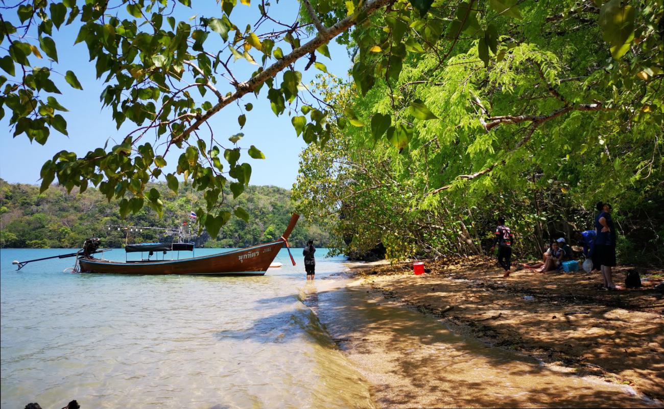 Desperate Beach'in fotoğrafı parlak kum yüzey ile