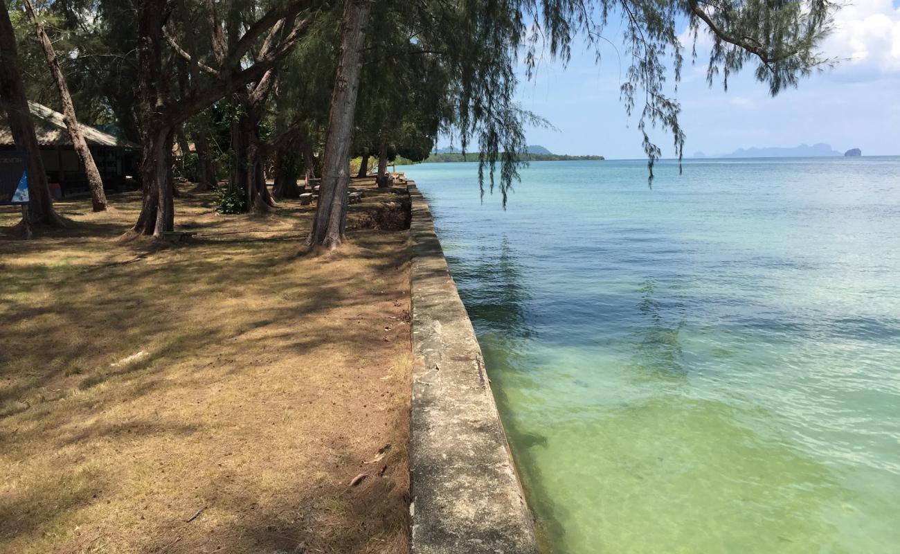 Ko Libong Beach'in fotoğrafı açık bej kum yüzey ile