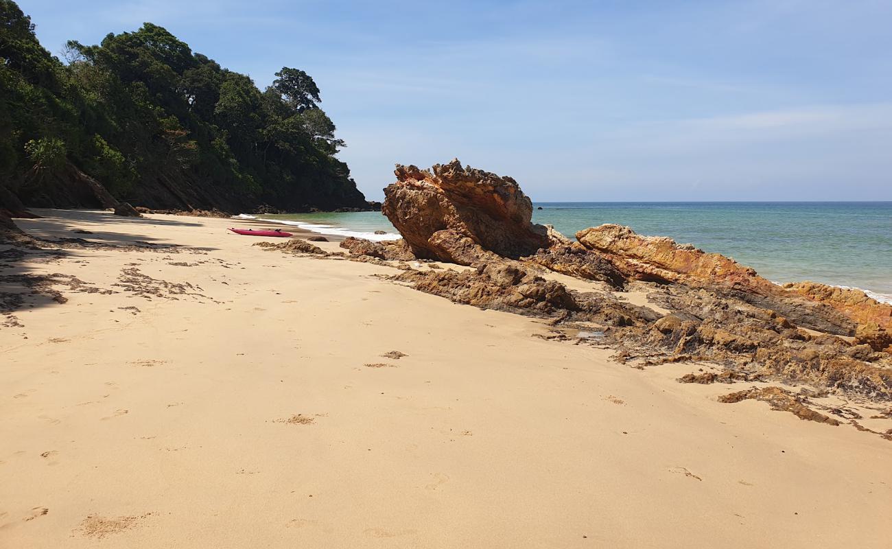 Abalone Beach'in fotoğrafı açık bej kum yüzey ile