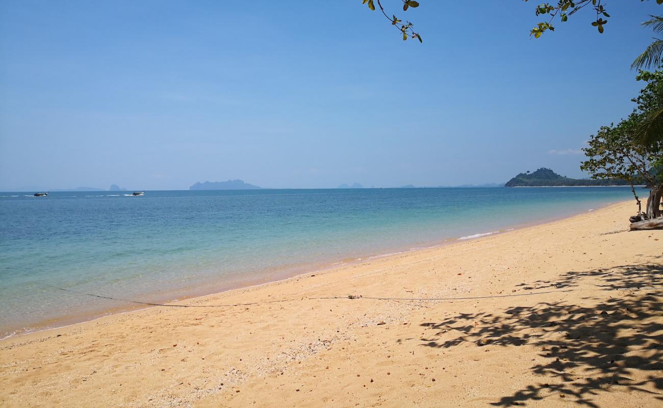 Wild beach'in fotoğrafı parlak kum yüzey ile