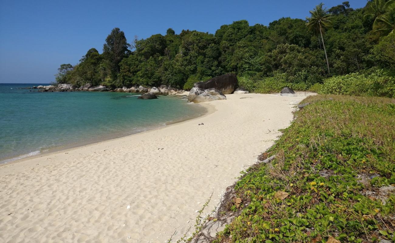 Koh Adang Resort Beach'in fotoğrafı parlak ince kum yüzey ile