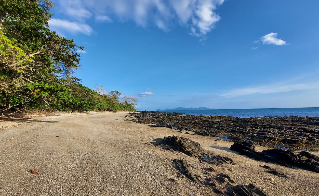 Ruby Beach'in fotoğrafı parlak kum ve kayalar yüzey ile