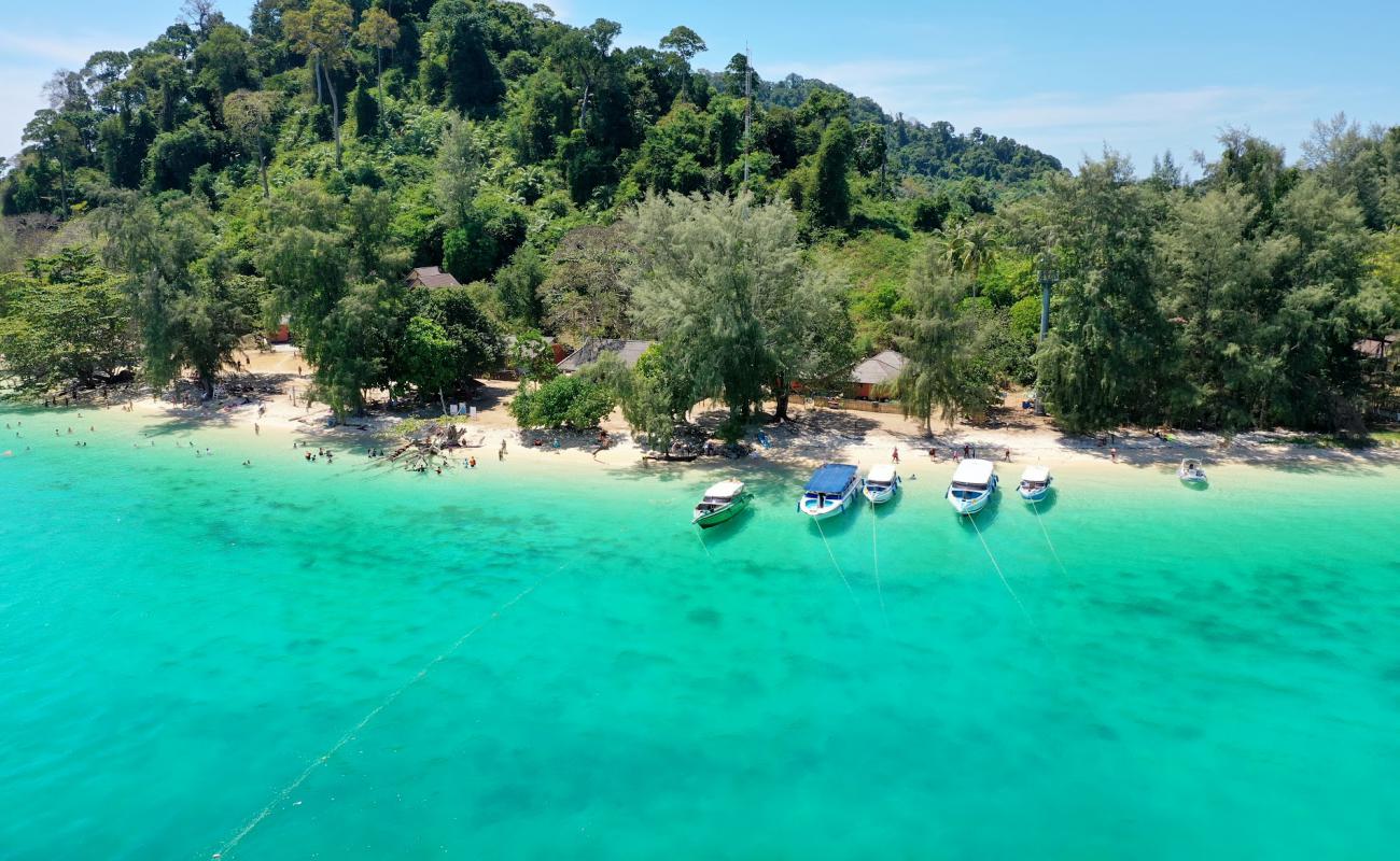 Koh Kradan Beach'in fotoğrafı beyaz kum yüzey ile