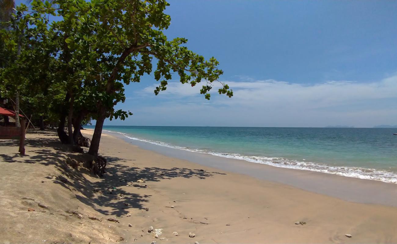 Golden Pearl Beach'in fotoğrafı açık bej kum yüzey ile