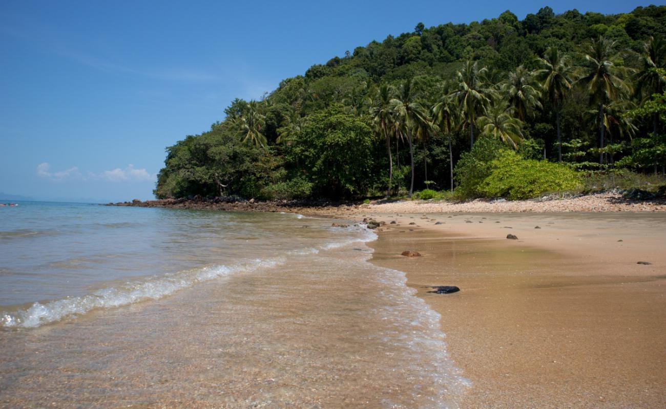 Coconut Beach'in fotoğrafı siyah kum ve çakıl yüzey ile