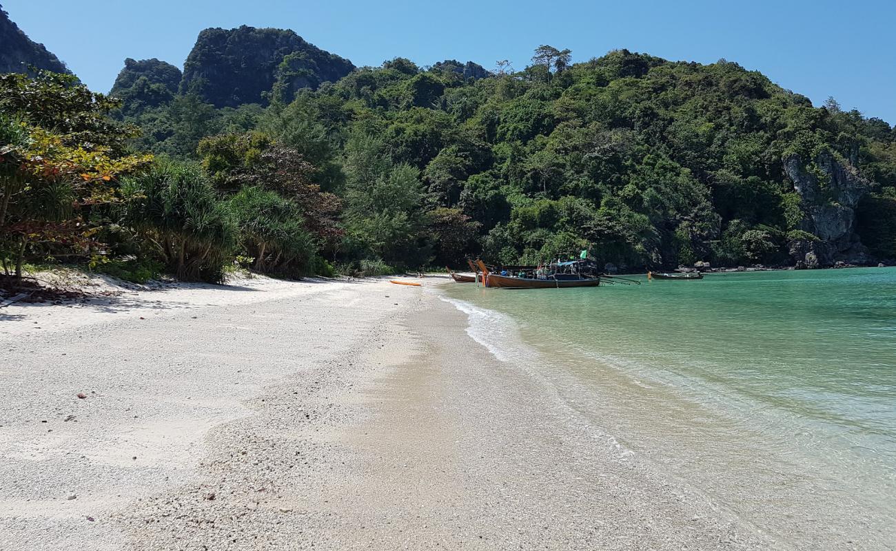 Loh Lana Bay Beach'in fotoğrafı beyaz kum yüzey ile