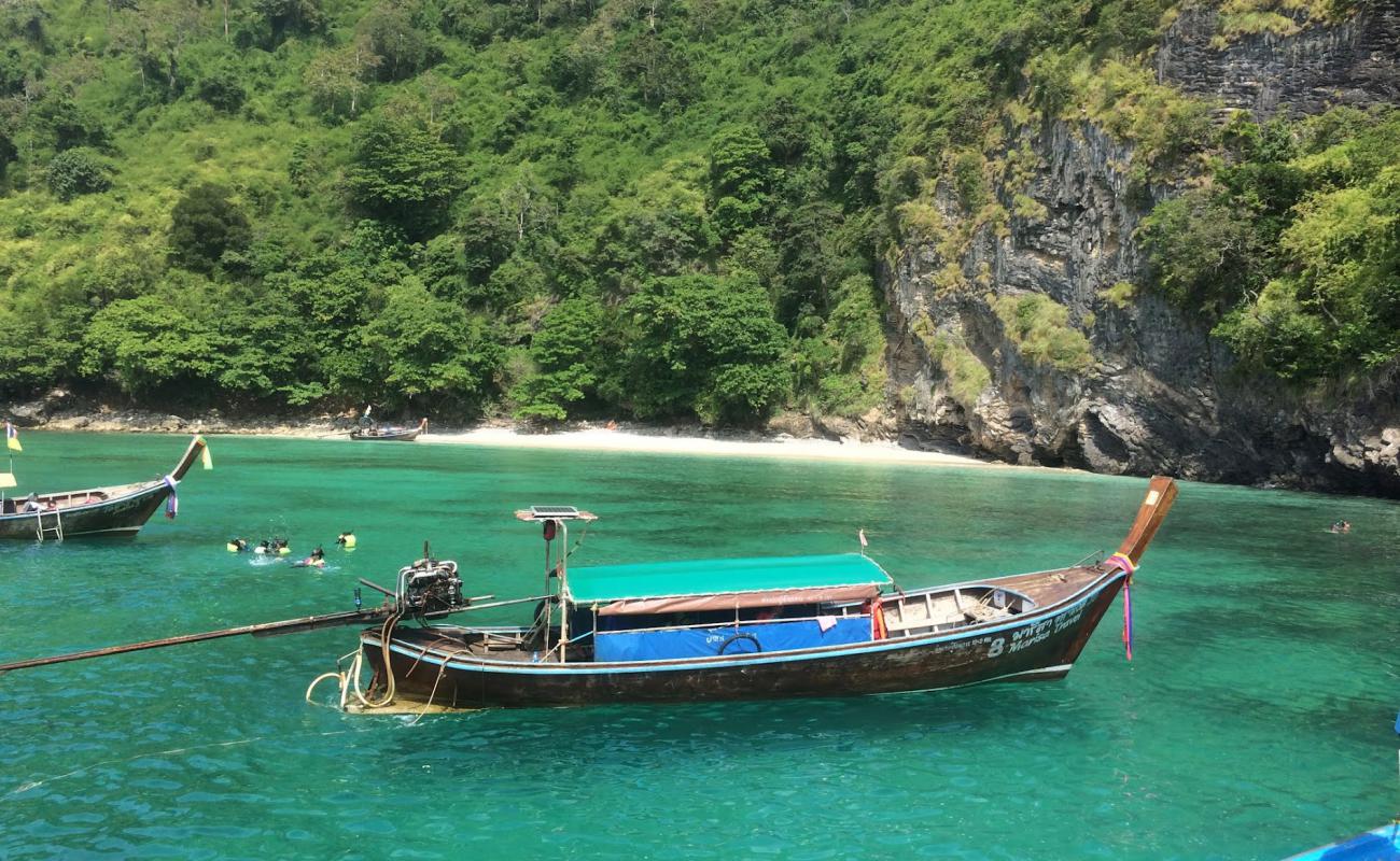 Chicken island Beach'in fotoğrafı parlak kum yüzey ile