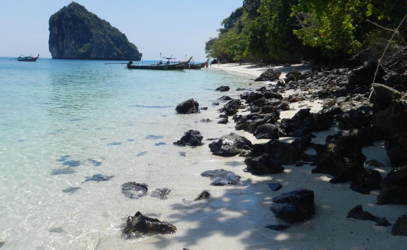 Chicken island Beach II'in fotoğrafı parlak ince kum yüzey ile