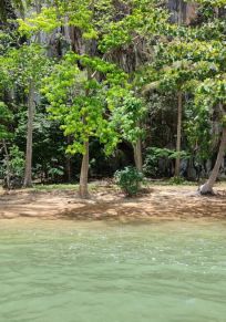 Krabi İli