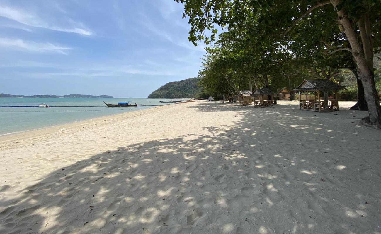 Cruiser Beach'in fotoğrafı parlak ince kum yüzey ile