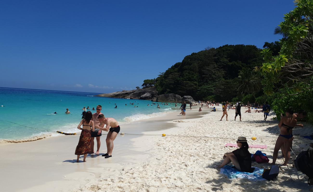 Koh Miang Plajı'in fotoğrafı beyaz ince kum yüzey ile