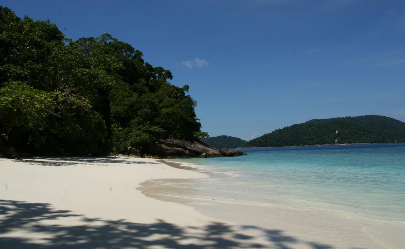 Ko Pachumba Beach'in fotoğrafı parlak ince kum yüzey ile