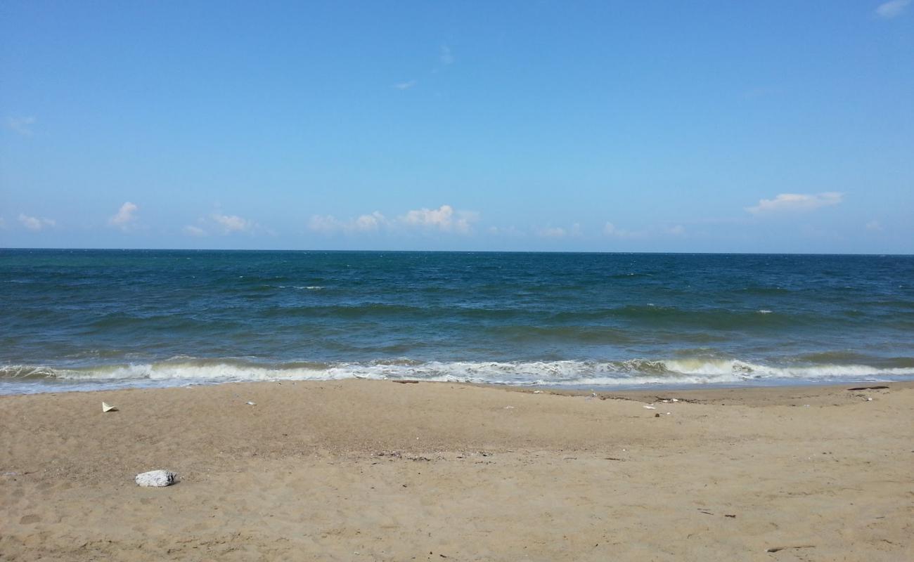 Tara Beach'in fotoğrafı açık bej kum yüzey ile