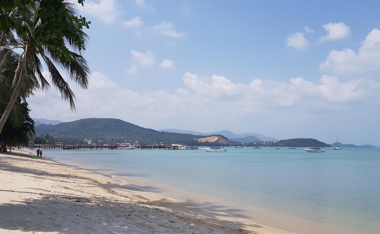 The Mermaid Beach'in fotoğrafı beyaz kum yüzey ile