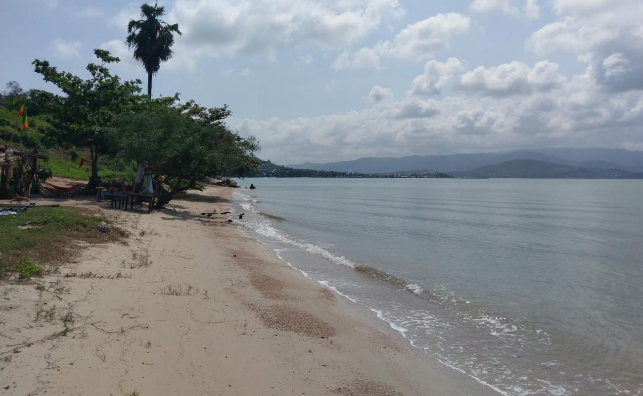 Reggae beach'in fotoğrafı parlak kum yüzey ile