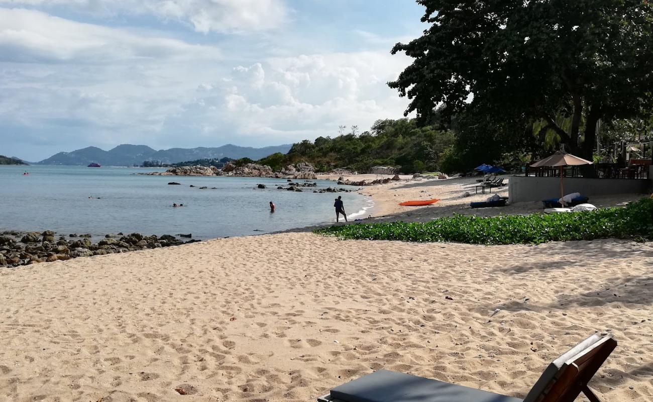 Surat Thani Beach'in fotoğrafı #86 yüzey ile