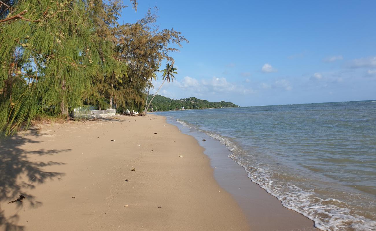 Bang Kao Beach'in fotoğrafı parlak kum yüzey ile